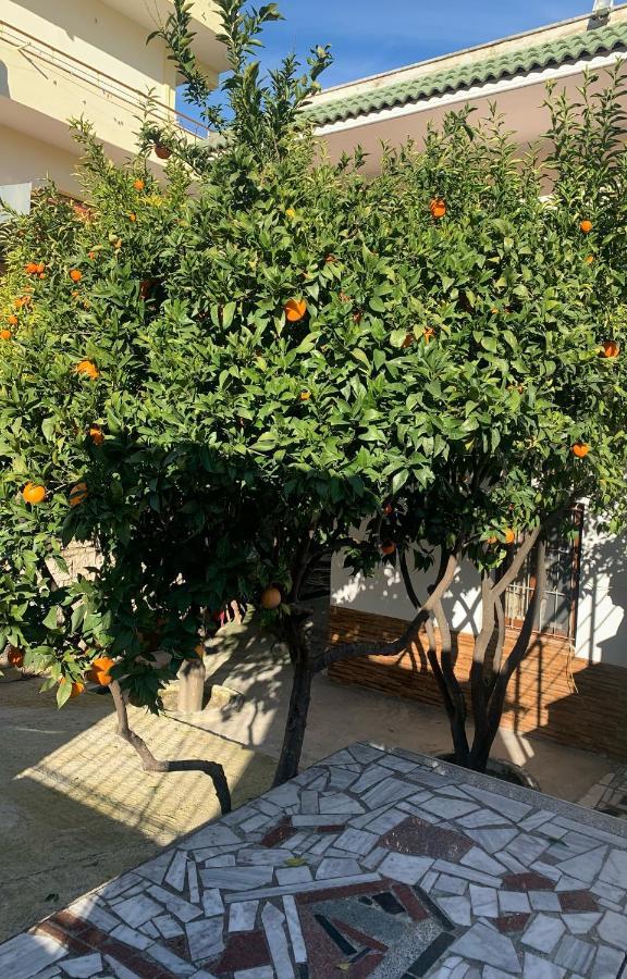 Vila Demaj! Free Parking Берат Екстериор снимка